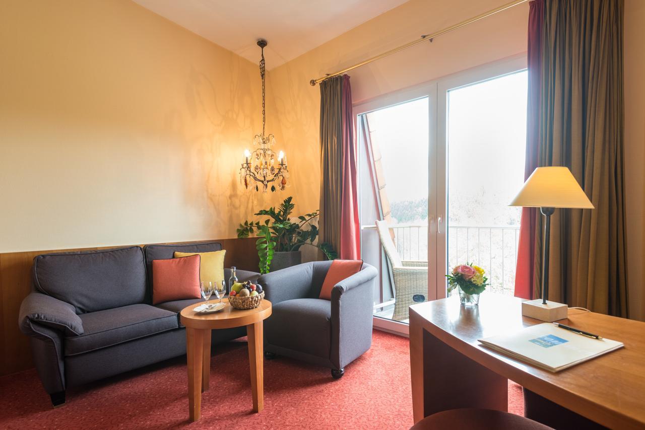 Hotel Heinz Höhr-Grenzhausen Rum bild
